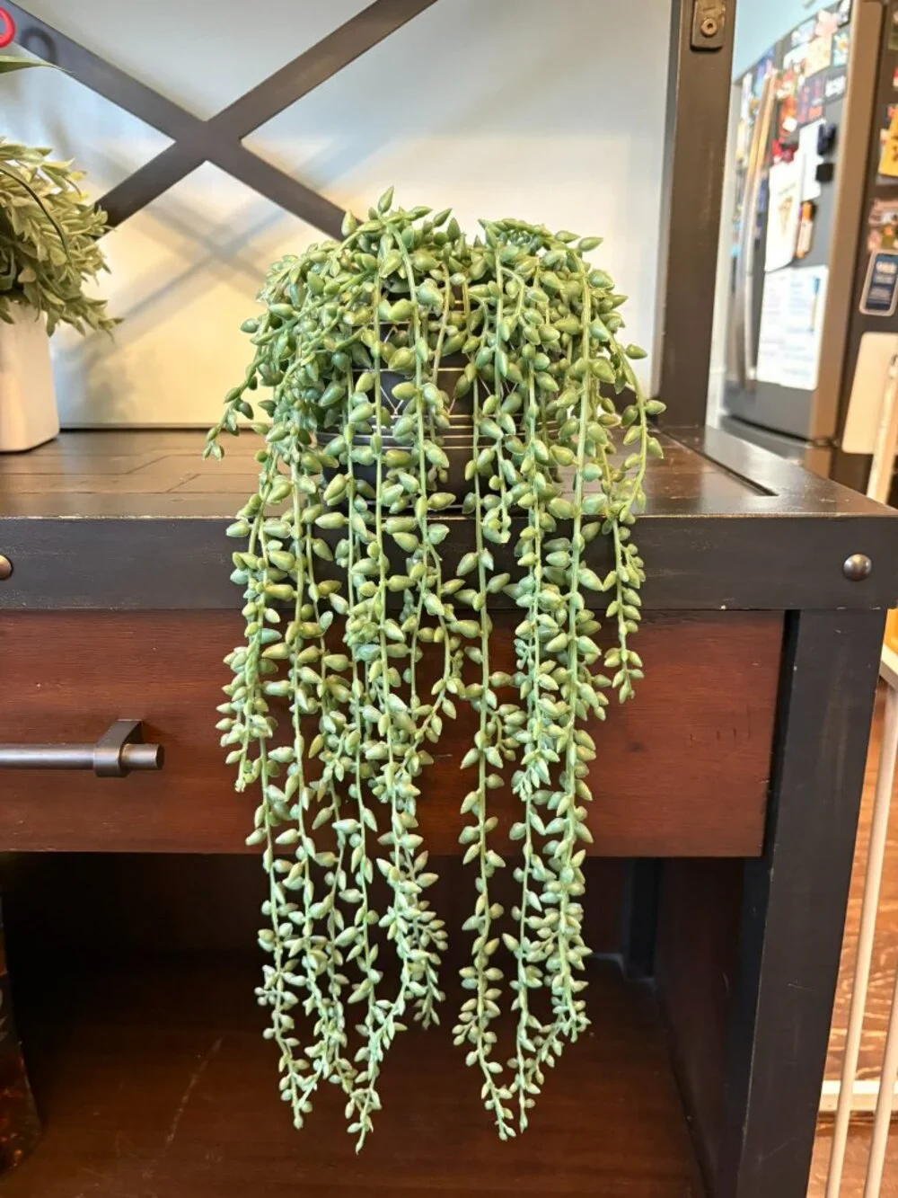 🌿 Cute Faux String of Bananas / String of Tears Trailing Plant 🌿